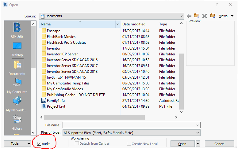 Revit Project Audit Checkbox